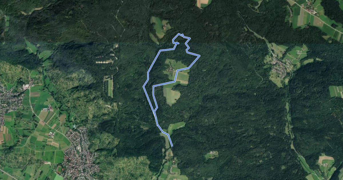 Маршрут Urbacher Wanderweg 9 на спутниковом снимке