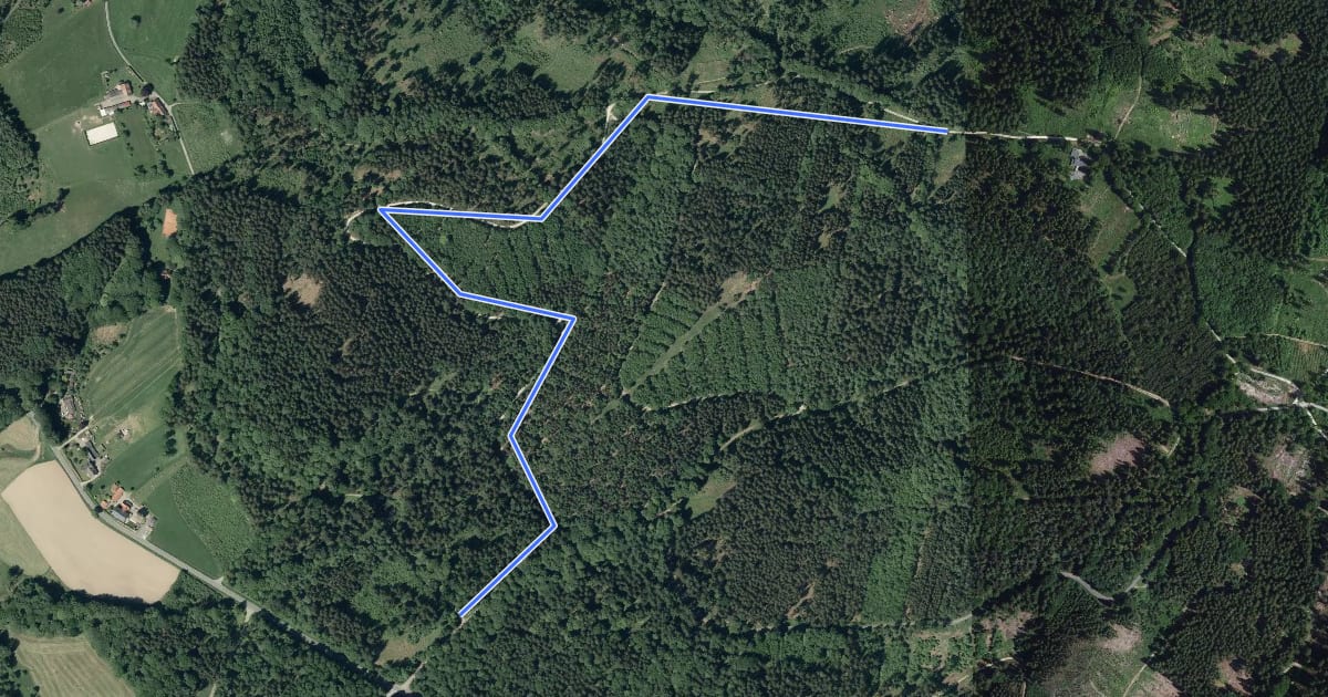 Маршрут Urbergtrail на спутниковом снимке