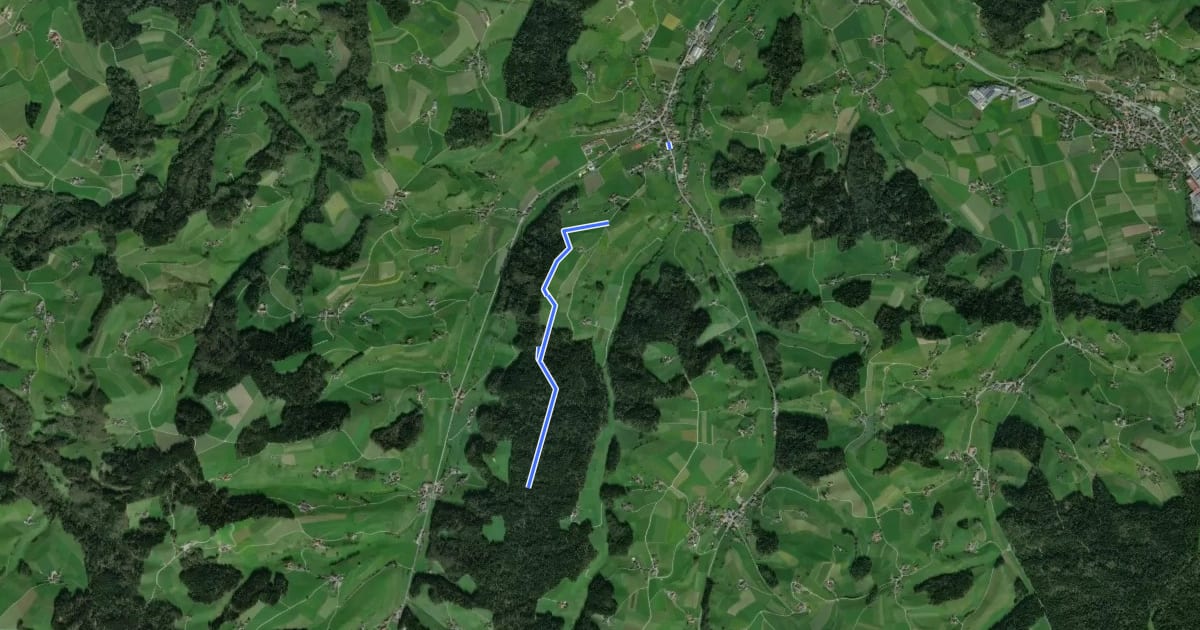 Маршрут Ursenbach-Bergwald на спутниковом снимке