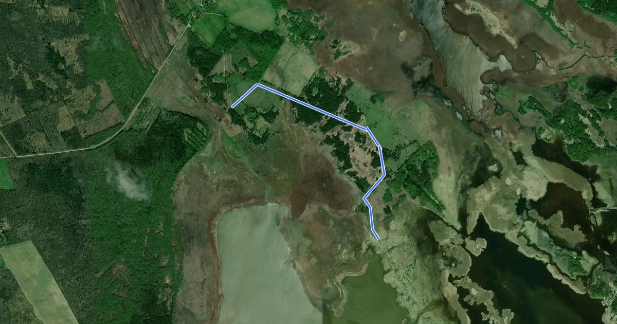 Маршрут Võnnussaare vaatetorn на спутниковом снимке