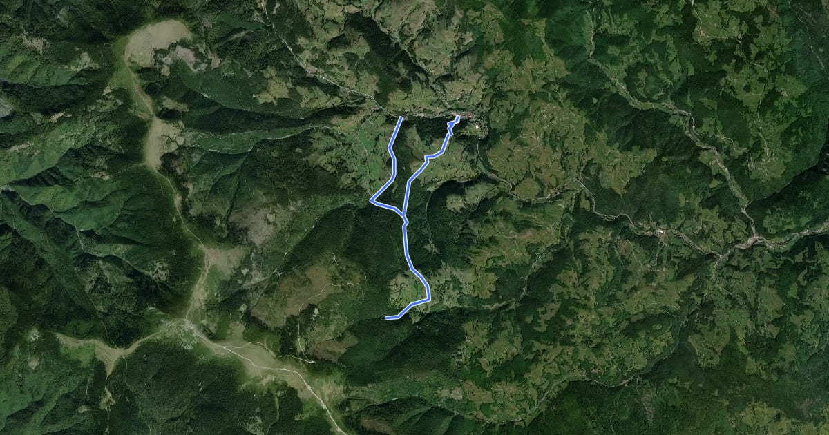 Маршрут Valea Arieșul Mare - Cascada Pătrăhăițești - sat Arieșeni на спутниковом снимке