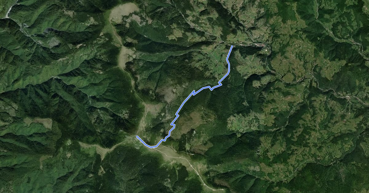 Маршрут Valea Arieșul Mare - Cucurbăta Mare (Vf. Bihor) на спутниковом снимке