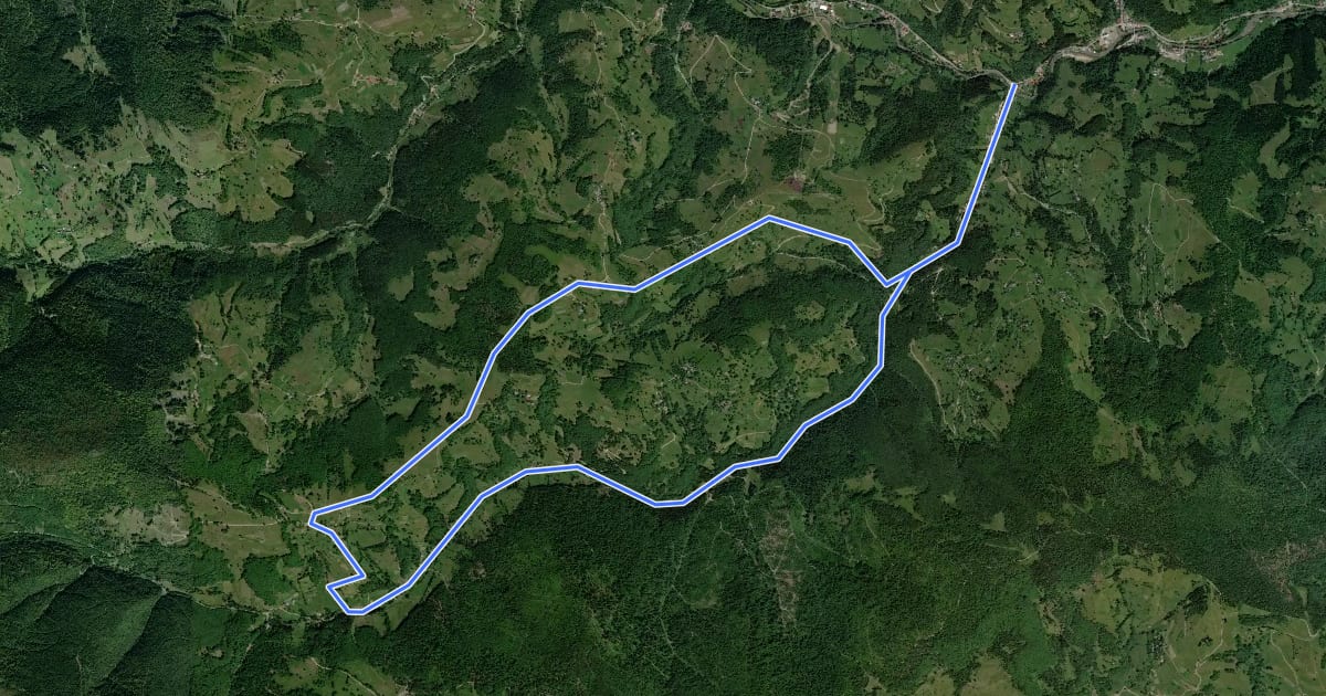 Маршрут Valea Arieșul Mare (DN75) - sat Biharia (Iarba Rea) - Valea Arieșul Mare (DN75) на спутниковом снимке