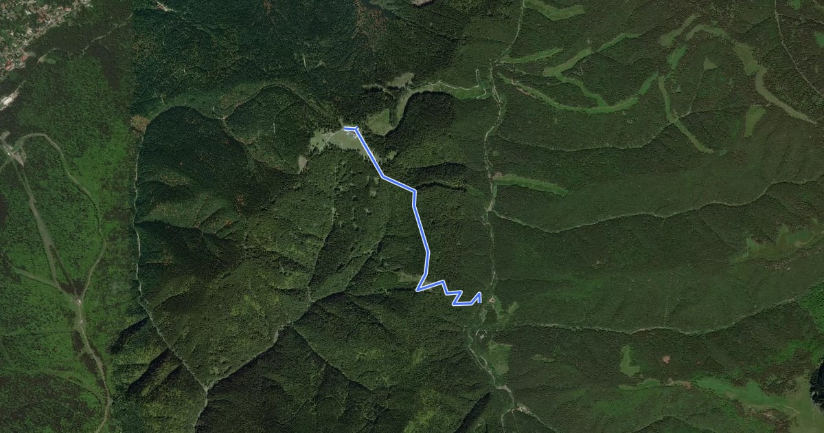Маршрут Valea Azugii - Drumul lui Ceaușescu - La Susai Mountain Resort на спутниковом снимке