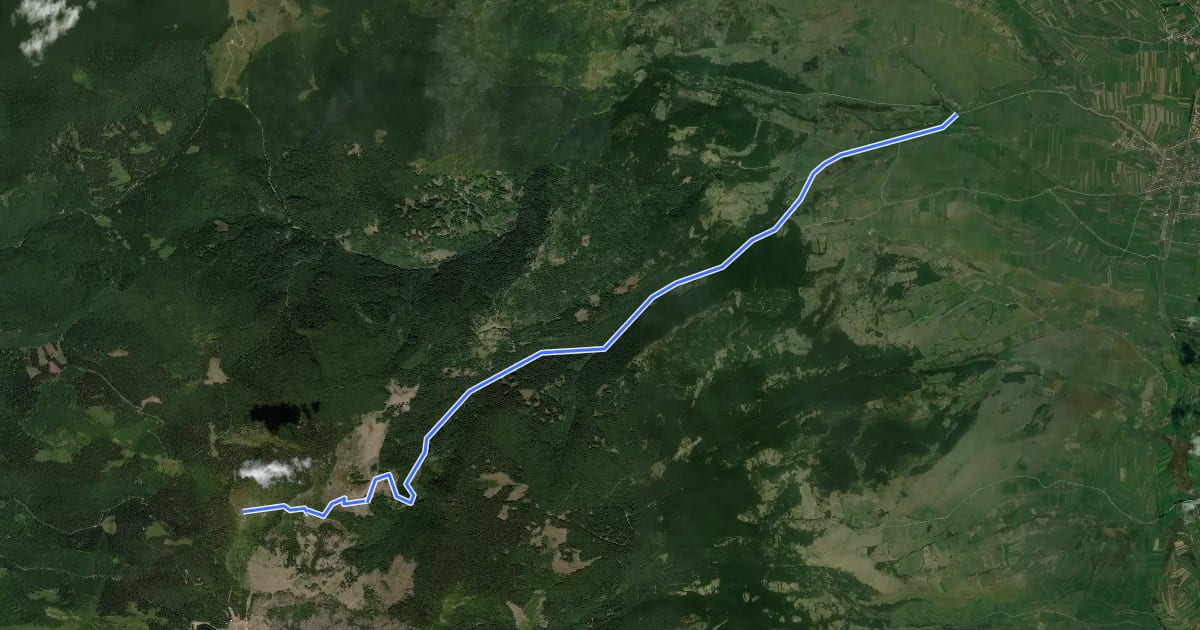 Маршрут Valea Mădărașul Mic - Valea Săritor - Vf. Harghita Mădăraș на спутниковом снимке