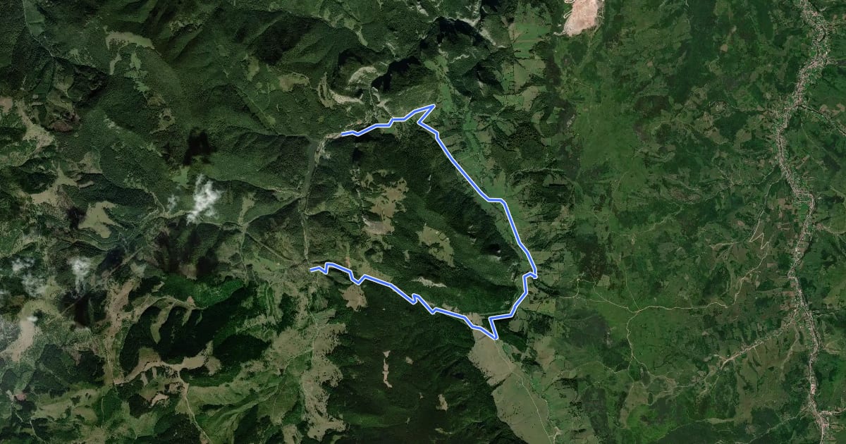 Маршрут Valea Oii – Culmea lui Paleu – Lacu Roșu (red dot) на спутниковом снимке