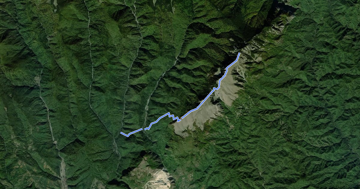 Маршрут Valea Prislop - Muntele Cacova - Vârful Piatra - Curmătura Builei - Vârful Vânturarița Mare на спутниковом снимке