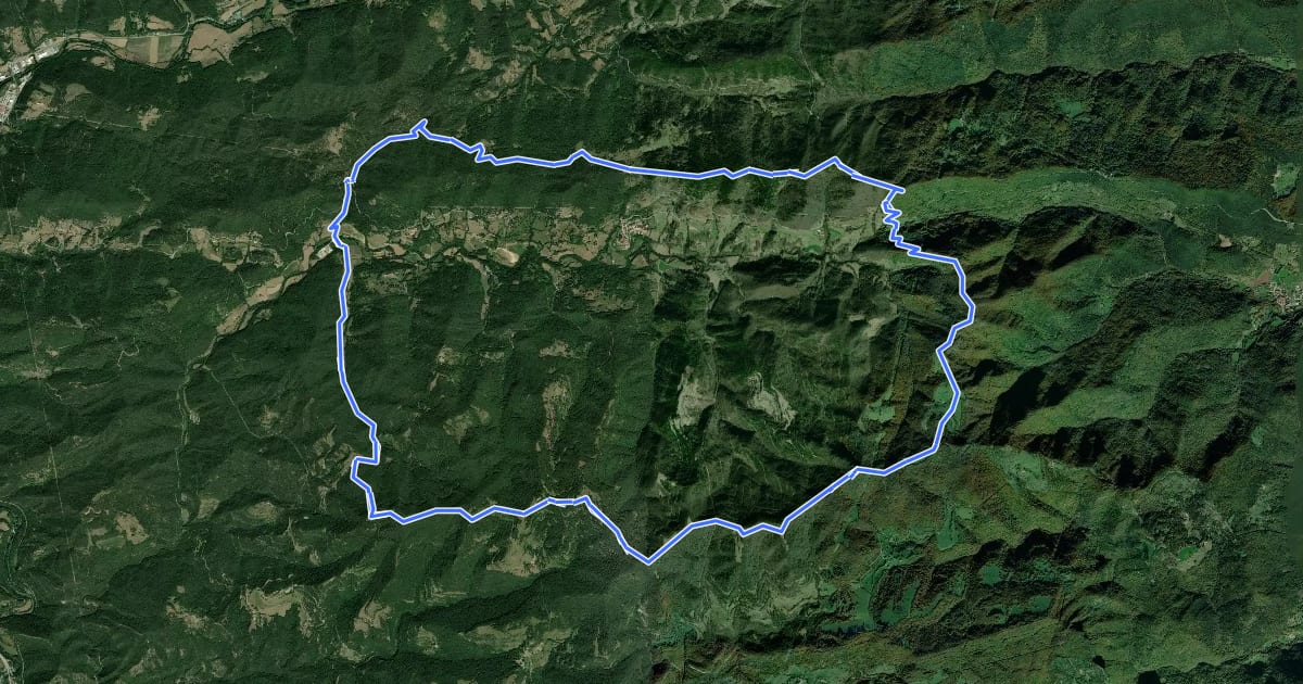 Маршрут Vallgofona de Ripollès - Vallfogona de Ripollès на спутниковом снимке