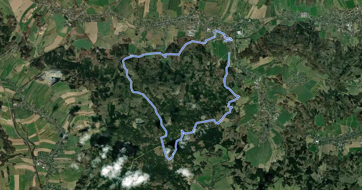 Маршрут Valtenberg Rundweg (grüner Punkt) на спутниковом снимке