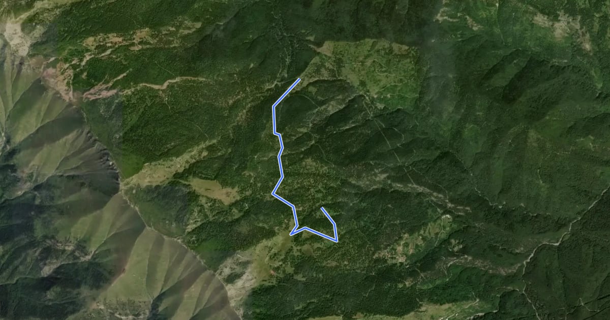 Маршрут Variante Anello delle Malghe на спутниковом снимке