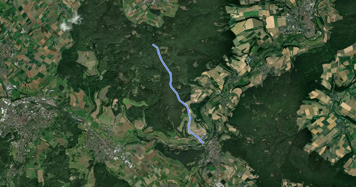 Маршрут Variante - Bad Salzschlirf : Taunus - Rhön - Weg на спутниковом снимке