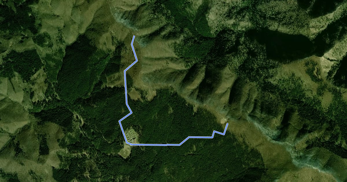 Маршрут Variante Eremo di Camaldoli на спутниковом снимке