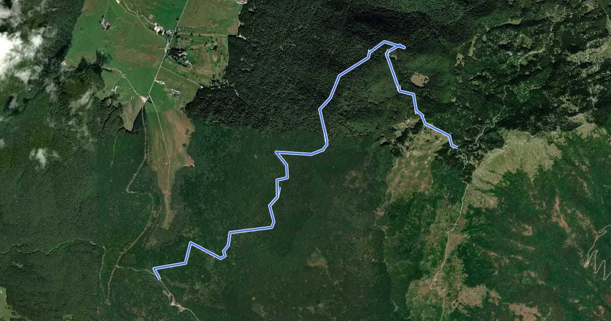 Маршрут Variante Montanevie - Itinerario turistico nel Friuli occidentale на спутниковом снимке