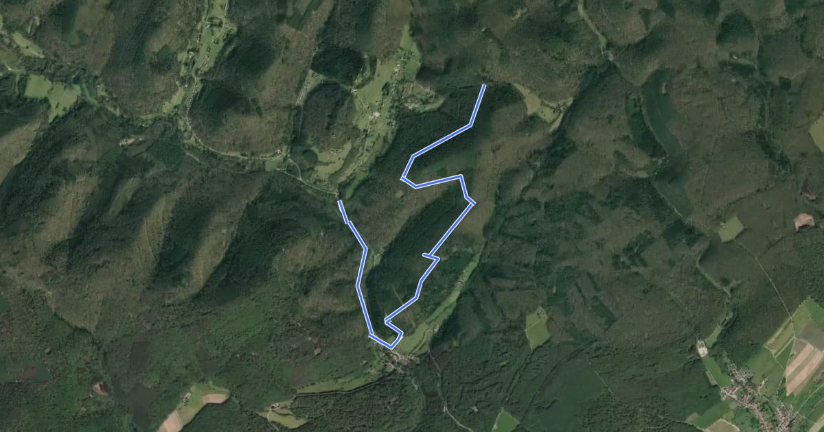 Маршрут Variante Sentier de la Ligne Maginot на спутниковом снимке