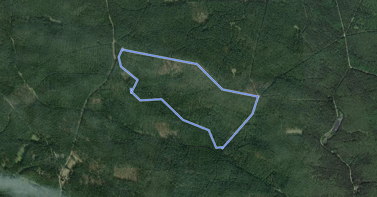 Маршрут Veldensteiner Forst - Rundweg Auerhahn на спутниковом снимке