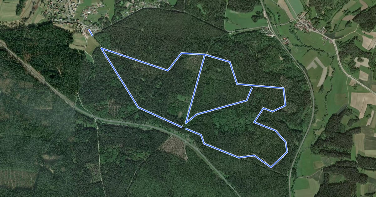 Маршрут Veldensteiner Forst - Rundweg Dachs на спутниковом снимке