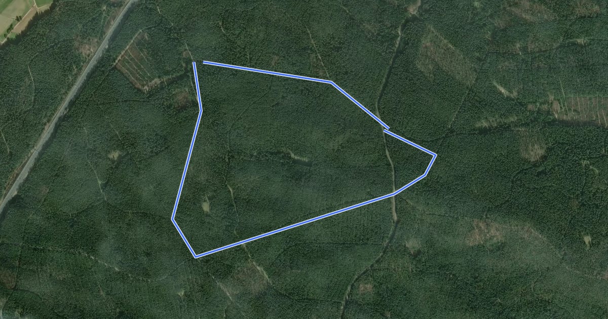 Маршрут Veldensteiner Forst - Rundweg Damhirsch на спутниковом снимке