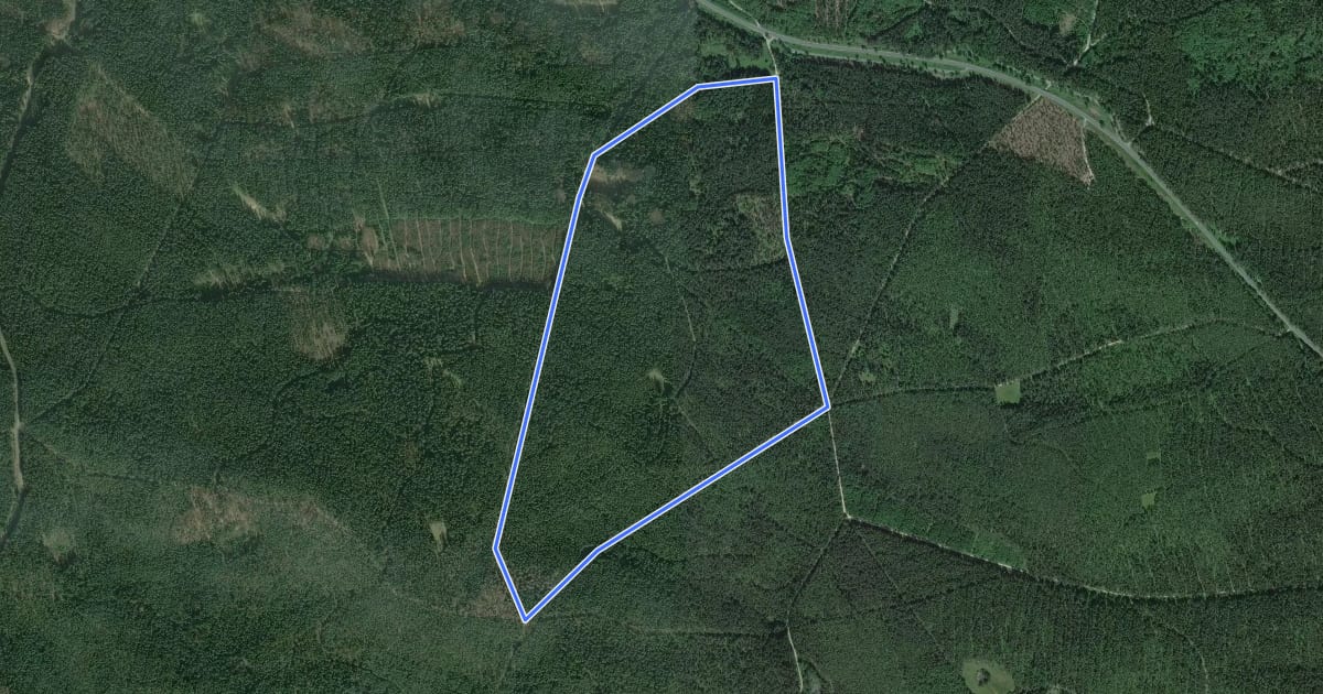 Маршрут Veldensteiner Forst - Rundweg Habicht на спутниковом снимке