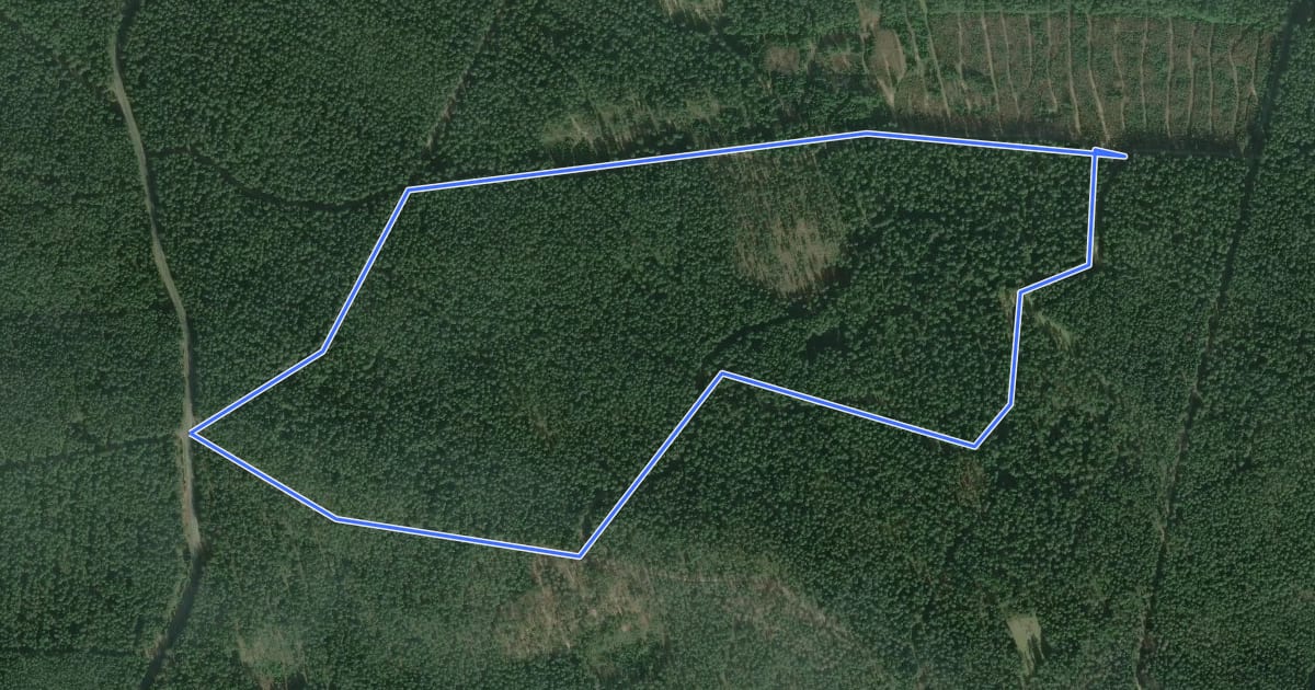 Маршрут Veldensteiner Forst - Rundweg Hase на спутниковом снимке