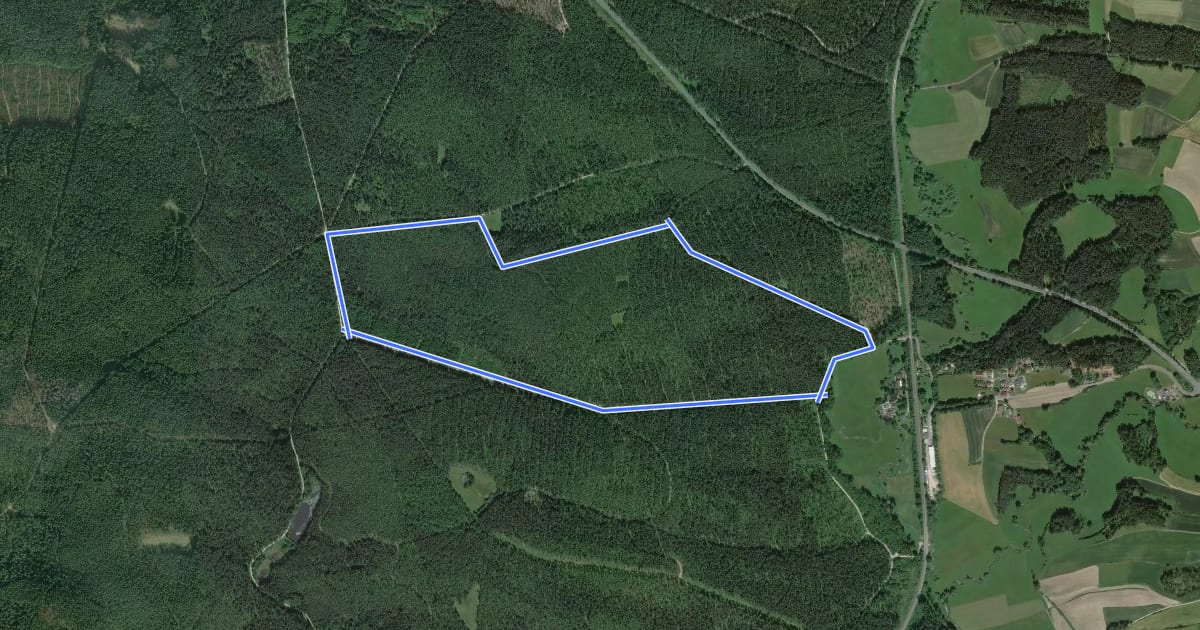 Маршрут Veldensteiner Forst - Rundweg Rothirsch на спутниковом снимке