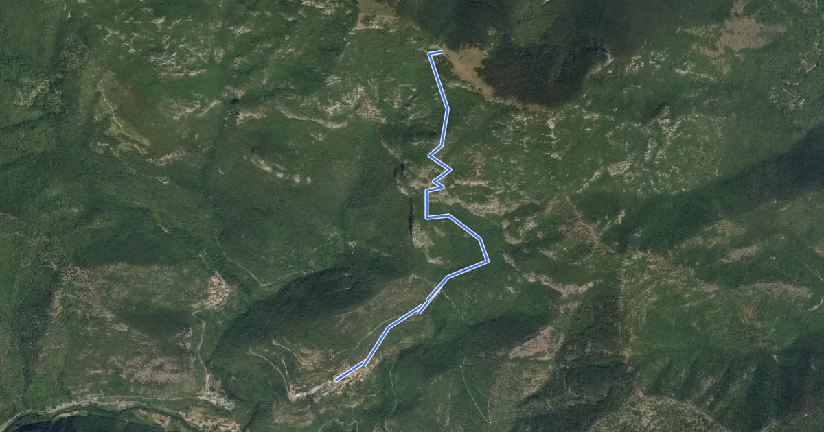 Маршрут Veravo - Sella Alpe на спутниковом снимке