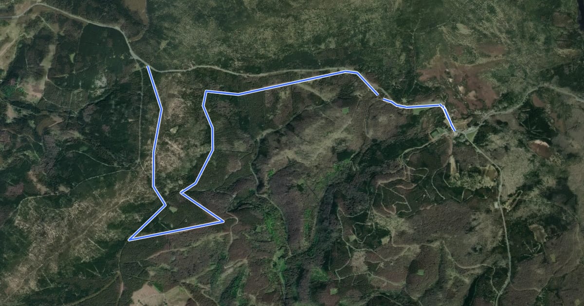 Маршрут Verbindungsloipe Sonnenberg - Stieglitzecke на спутниковом снимке
