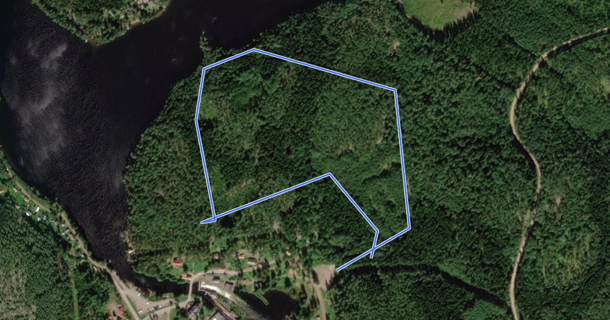 Маршрут Verlan metsätietopolku на спутниковом снимке
