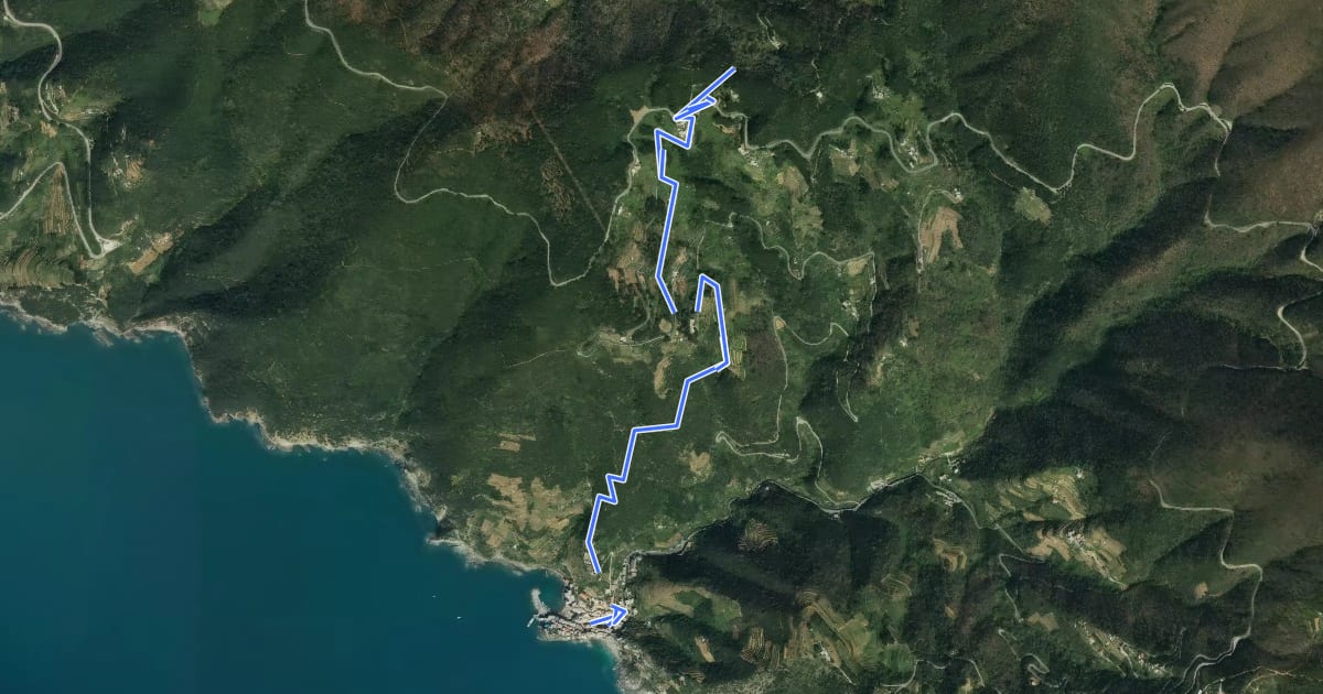 Маршрут Vernazza – Mad. di Reggio – F.ce di Drignana на спутниковом снимке