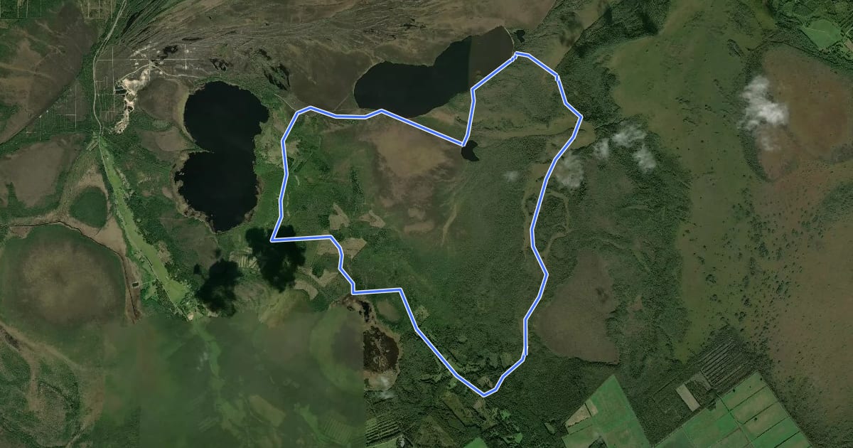 Маршрут Veskijärve - Tänavjärve matkarada, pikendatud на спутниковом снимке