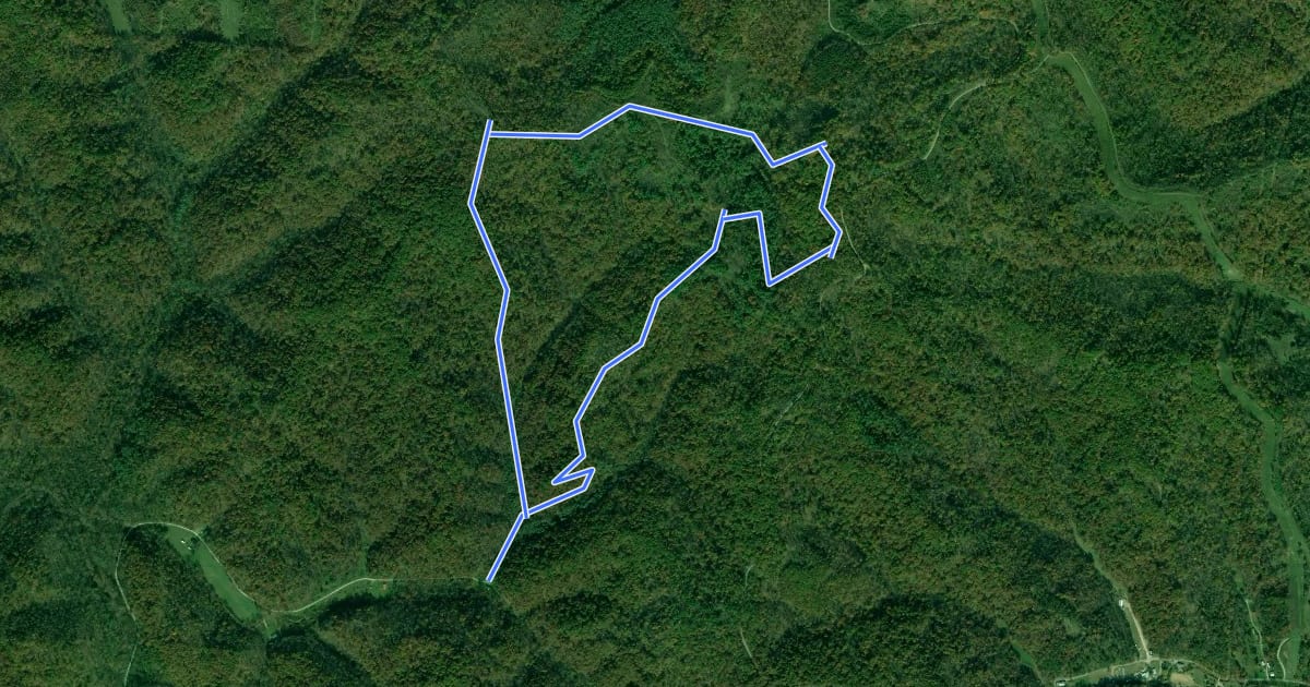 Маршрут Vesuvius - Paddle Creek Loop на спутниковом снимке