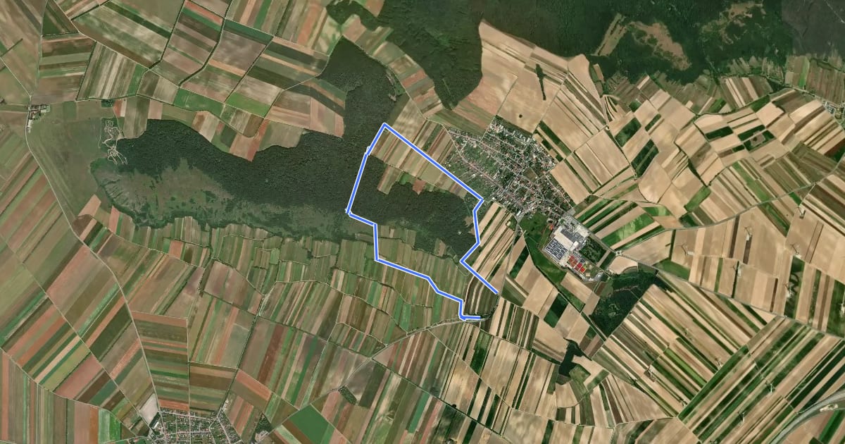 Маршрут Via Cella Vinaria (Rundwanderweg Von Kellergasse zu Kellerviertel) на спутниковом снимке