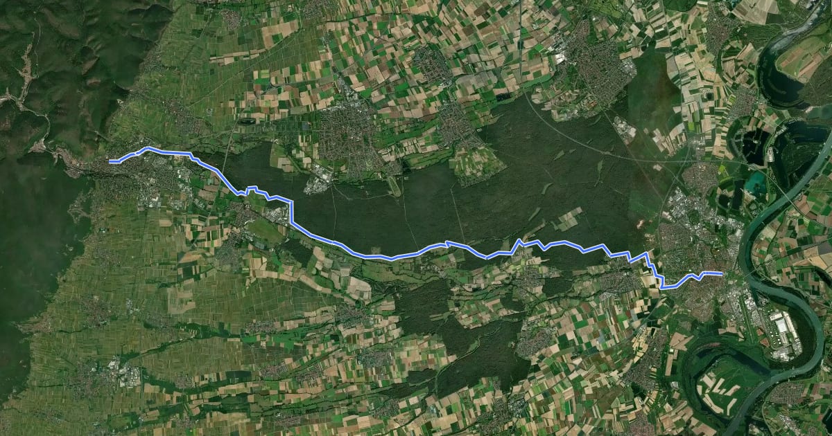 Маршрут Via Sancti Martini HW-37-01 Speyer - Neustadt an der Weinstraße на спутниковом снимке