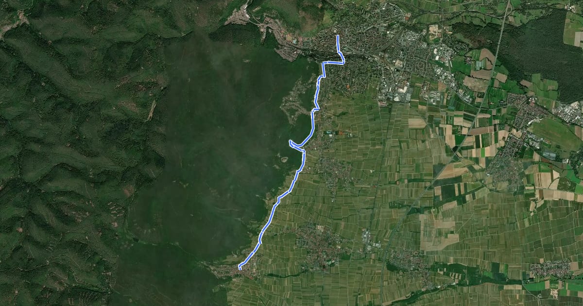 Маршрут Via Sancti Martini HW-37-02 Neustadt an der Weinstraße - Neustadt an der Weinstraße на спутниковом снимке