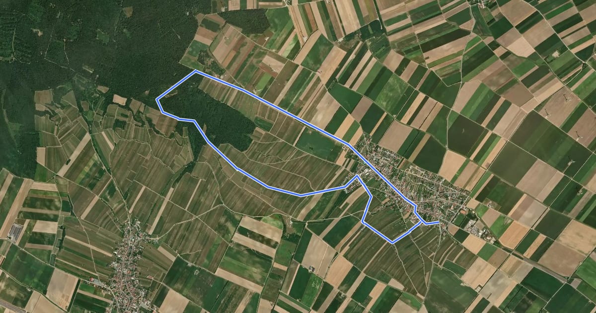 Маршрут Via Vinum (Rundwanderweg Höflein) на спутниковом снимке