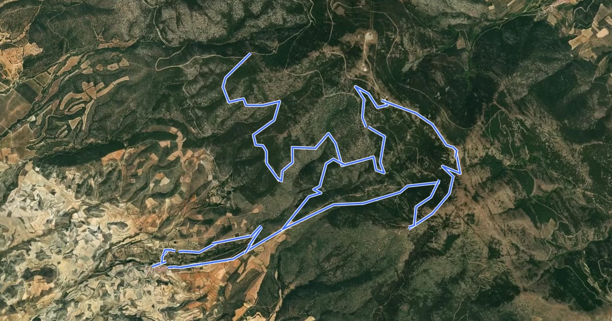 Маршрут Vicorada ruta corta на спутниковом снимке