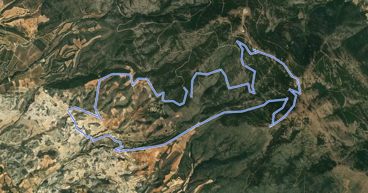 Маршрут Vicorada ruta larga на спутниковом снимке