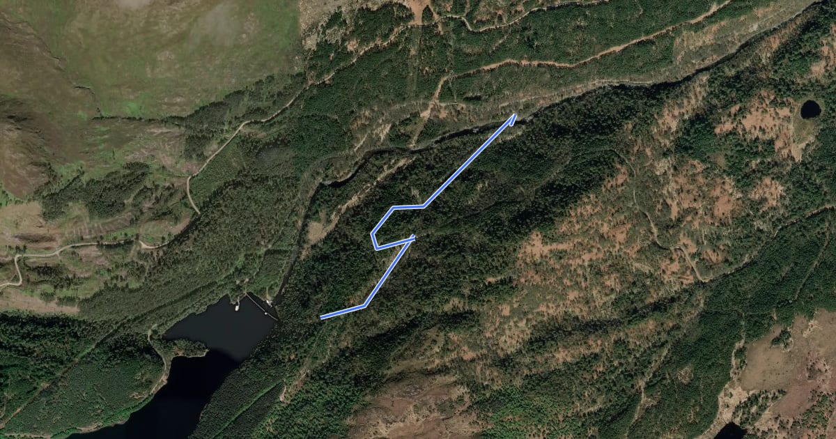 Маршрут Viewpoint Trail на спутниковом снимке