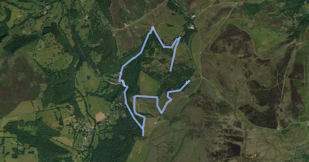 Маршрут Views and Woodlands Walk at Longshaw, Longshaw Estate на спутниковом снимке