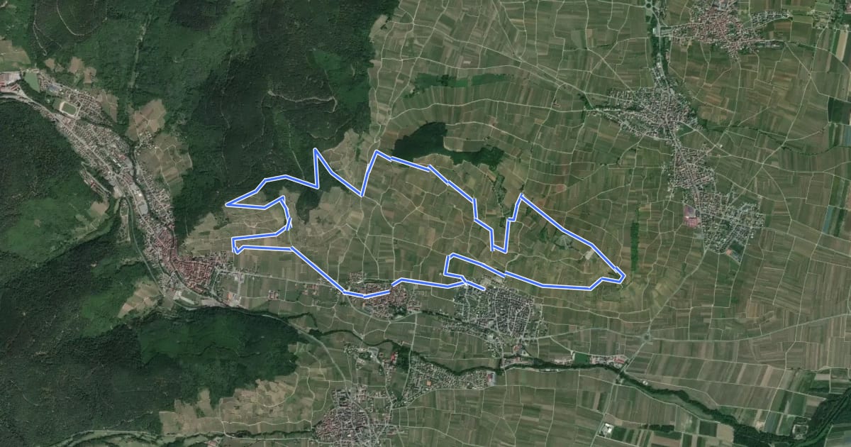Маршрут Vignoble de Kientzheim et Sigolsheim на спутниковом снимке