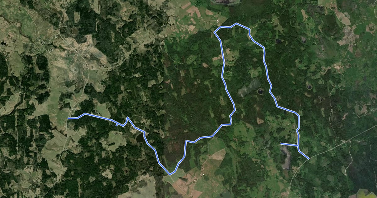 Маршрут Vilku kalna - Krievkalnu meža tūrisma maršruts на спутниковом снимке