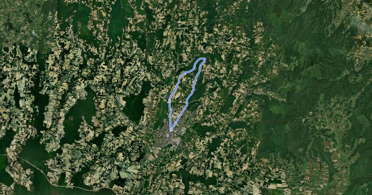 Маршрут Vinogradska ruta на спутниковом снимке