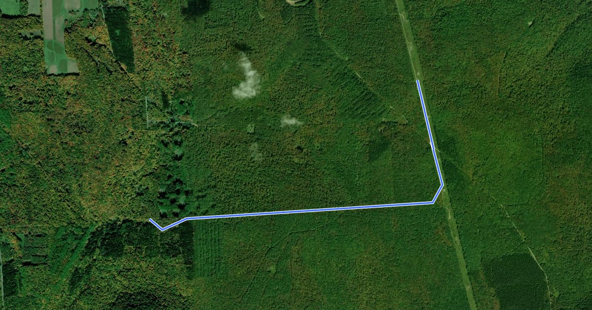 Маршрут Virgil Mt. Loop на спутниковом снимке