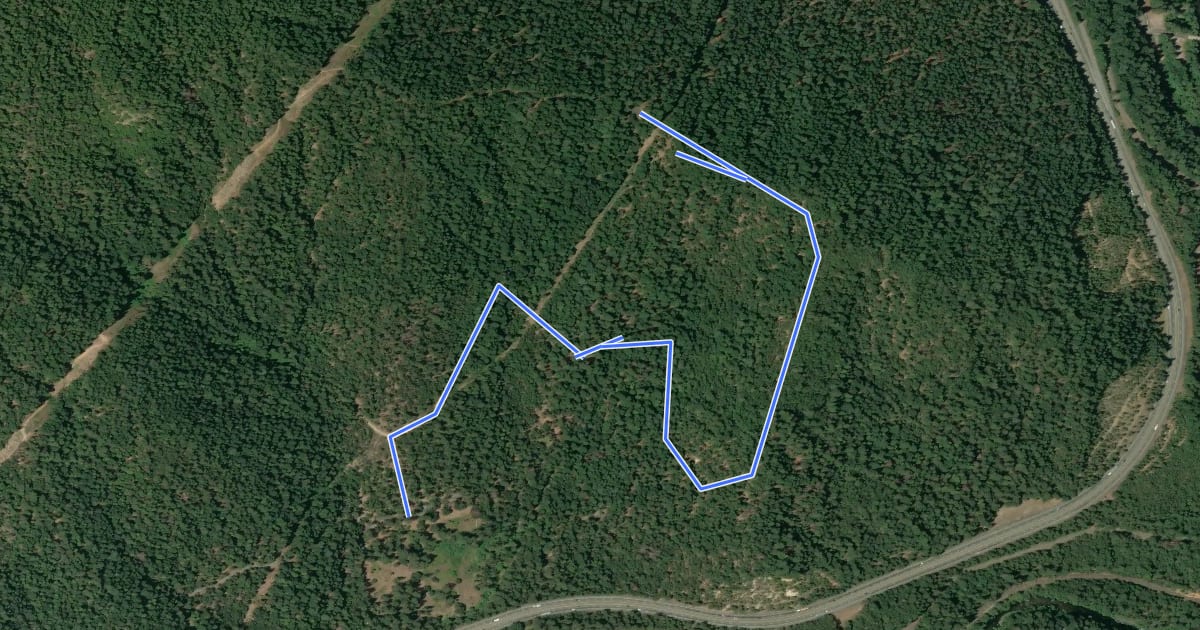 Маршрут Vista Point Trail на спутниковом снимке