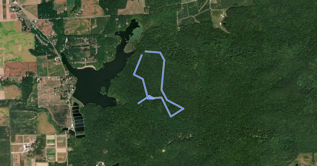 Маршрут Vista Trail на спутниковом снимке