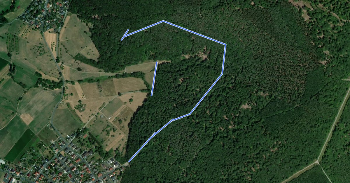 Маршрут Vita-Parcours на спутниковом снимке