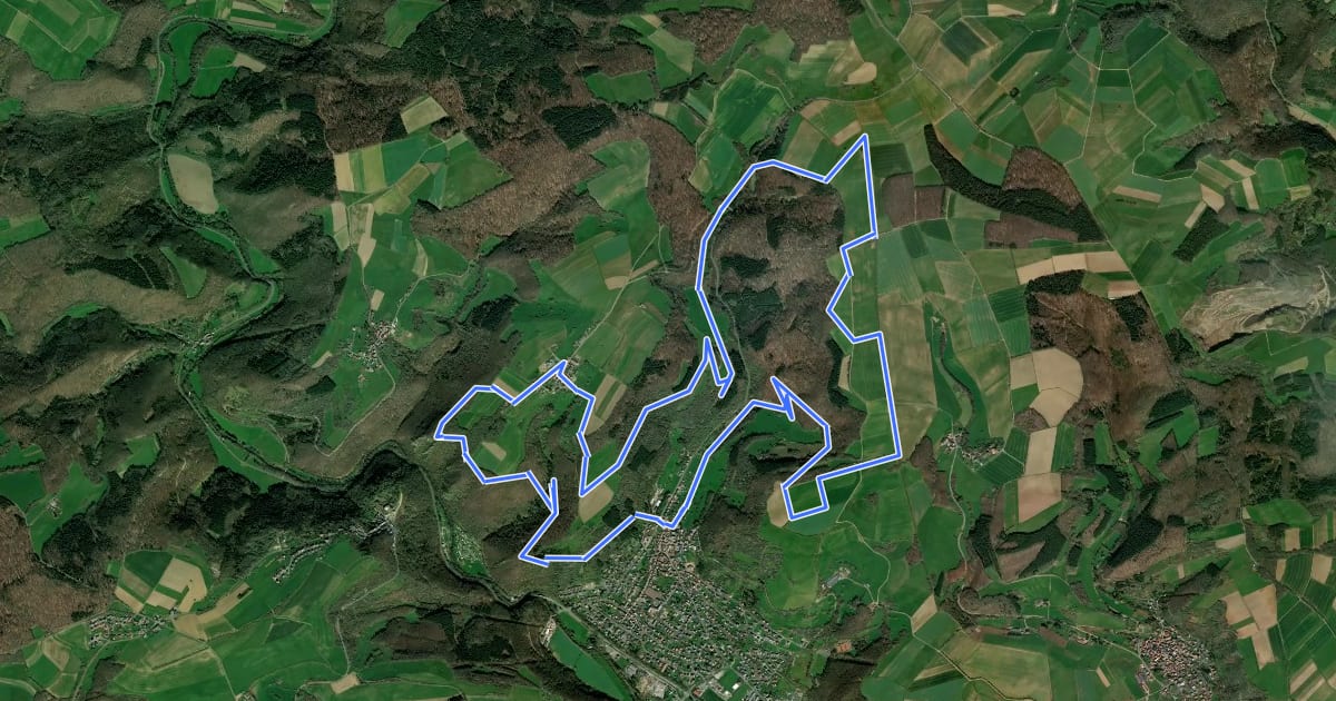 Маршрут VitalTour: Felsengarten на спутниковом снимке