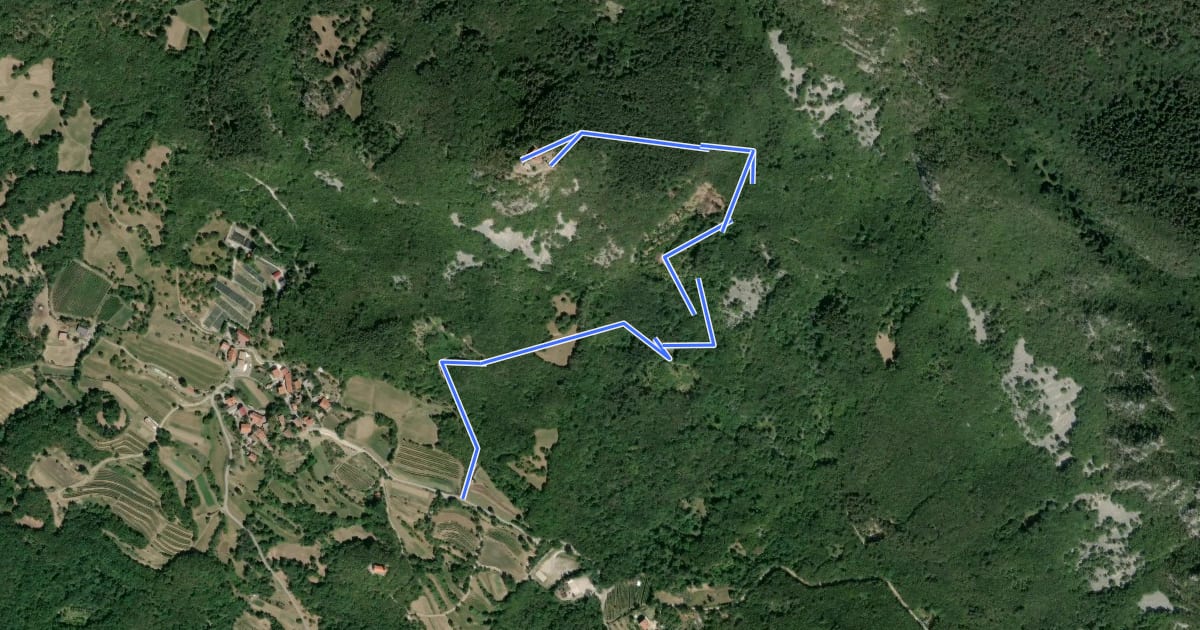 Маршрут Vitovlje - Vitovsko jezero - Vitovska cerkev на спутниковом снимке