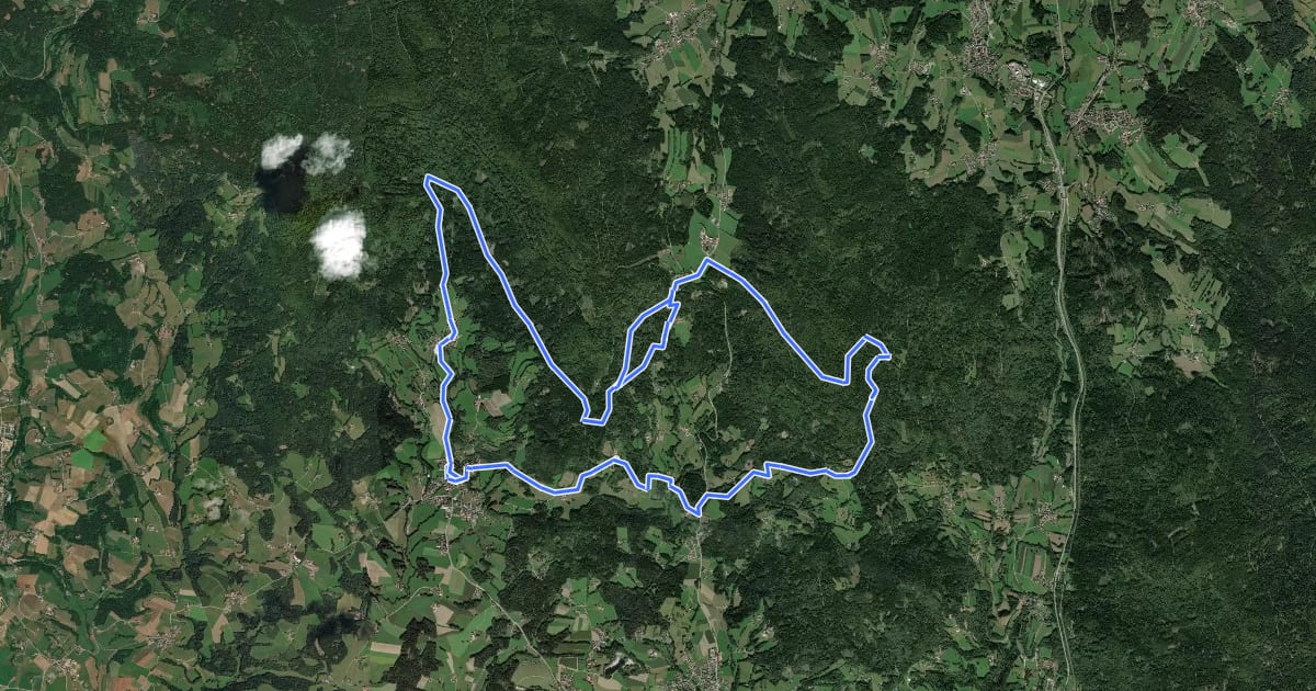 Маршрут Vogelsanger Weg на спутниковом снимке
