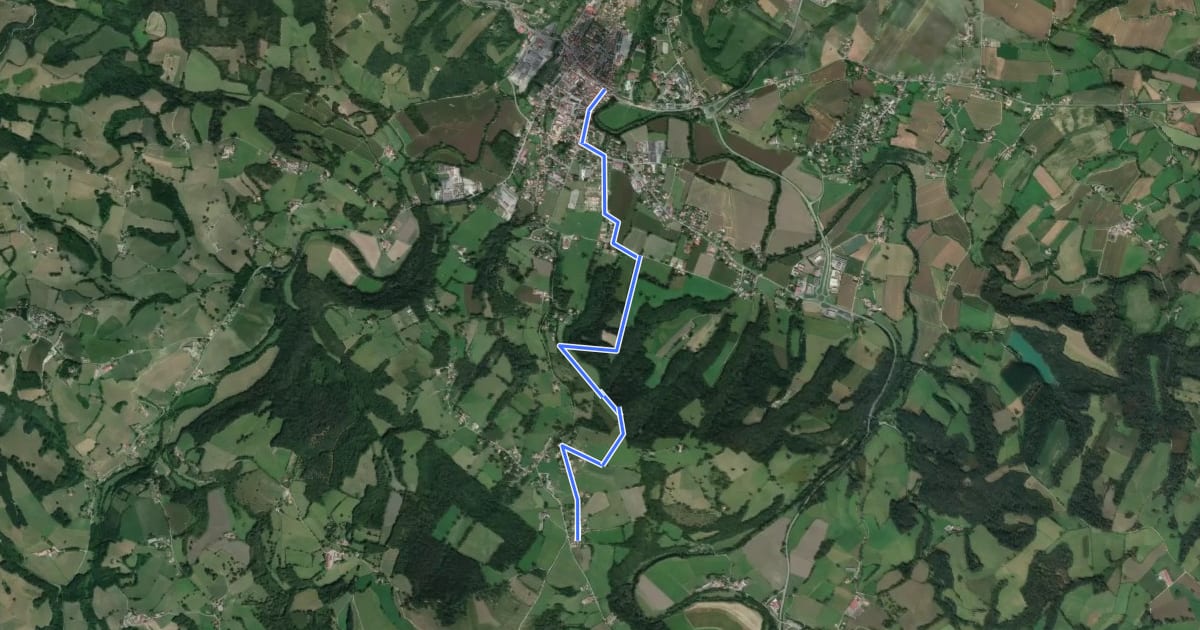 Маршрут Voie de Vézelay Ouest, Saint-Palais - Saint-Jean-Pied-de-Port на спутниковом снимке