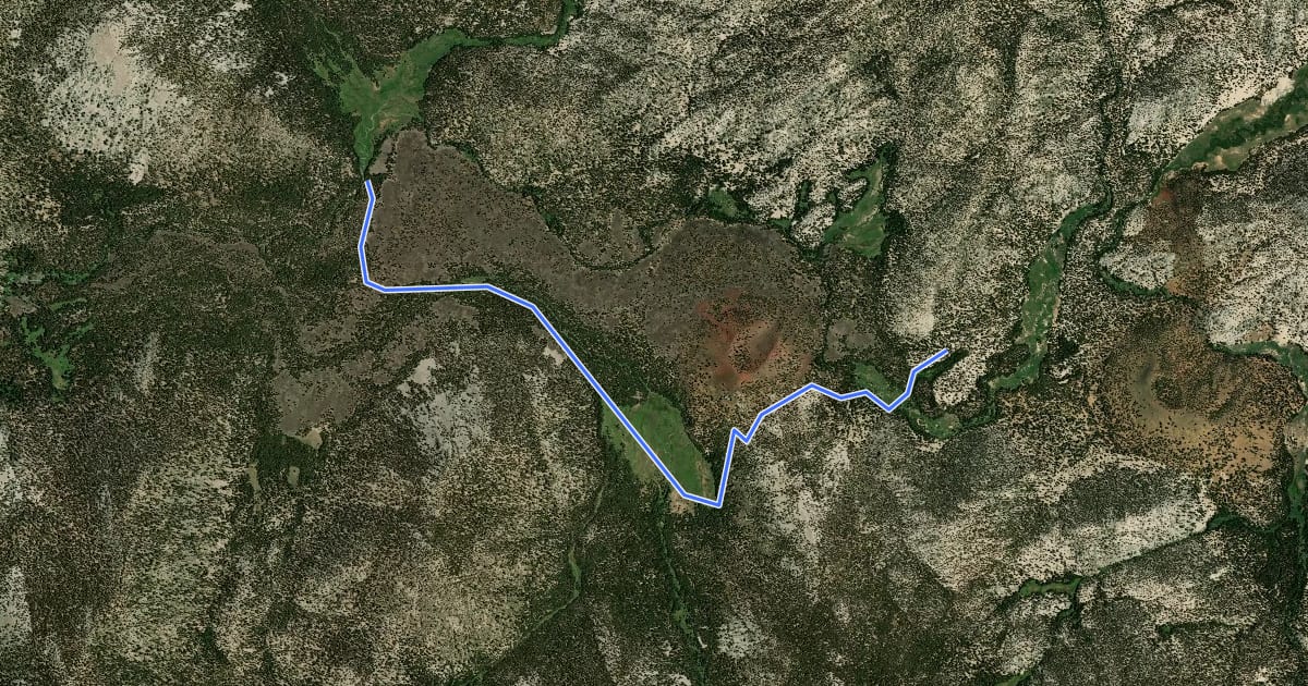 Маршрут Volcano Meadow Trail на спутниковом снимке